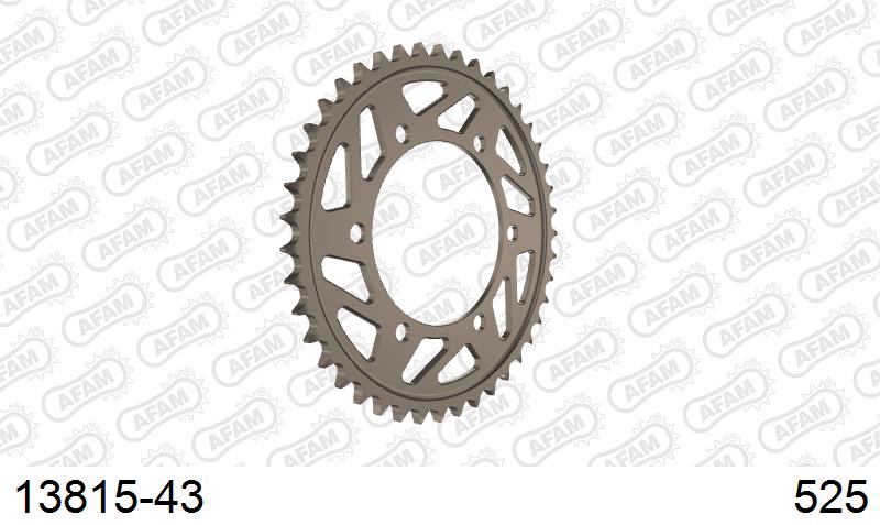 AFAM ALUMİNYUM ARKA DİŞLİ #525