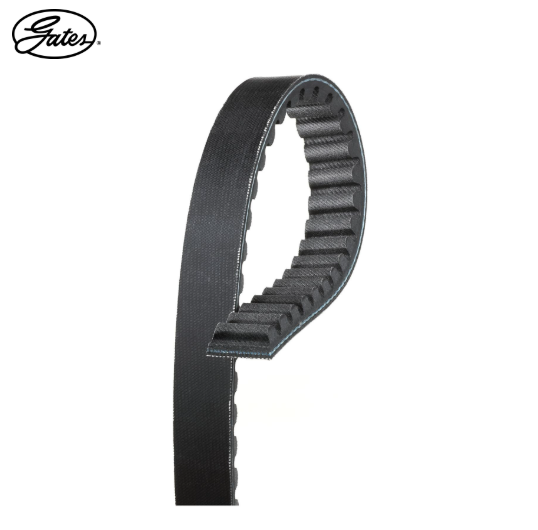 GATES 20501 (810x18,5) VESPA Primavera/Sprint ,APRILIA SR (Oem186162) Fransa Üretim