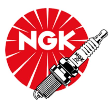 NGK Iridium Buji - GR9DI-8 ROTAX