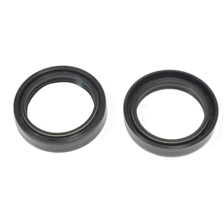 ATHENA Ön Amortisör Yağ Keçesi Çift Yaylı Showa 41x54x11mm (A047)